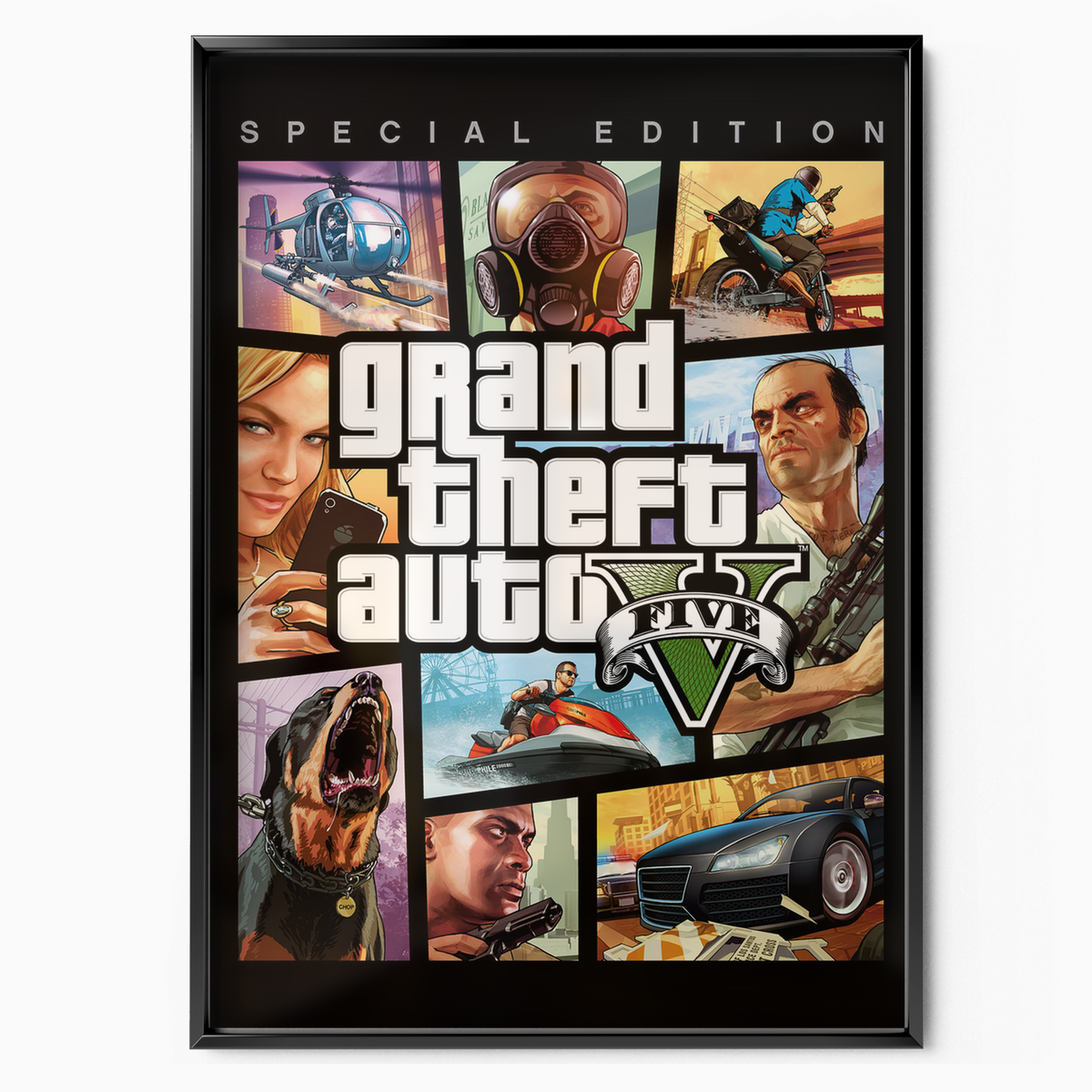Grand Theft Auto V Special Edition (2013)