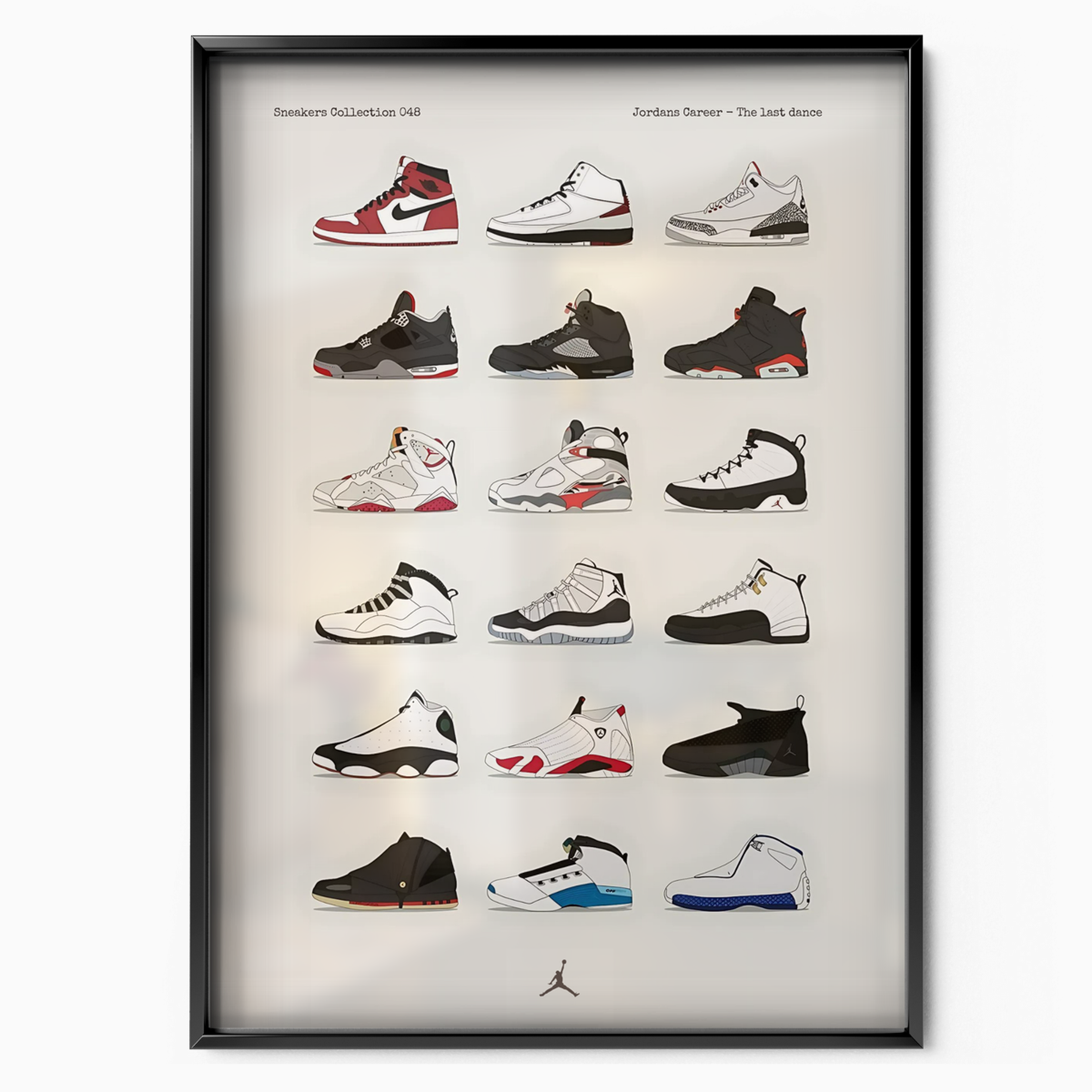 Jordans Career The last dance