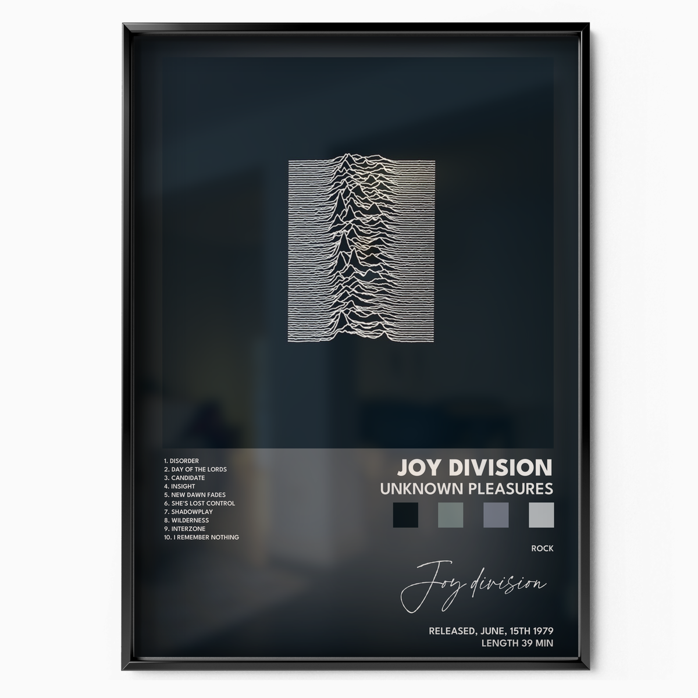 joy division Unknown Pleasures poster
