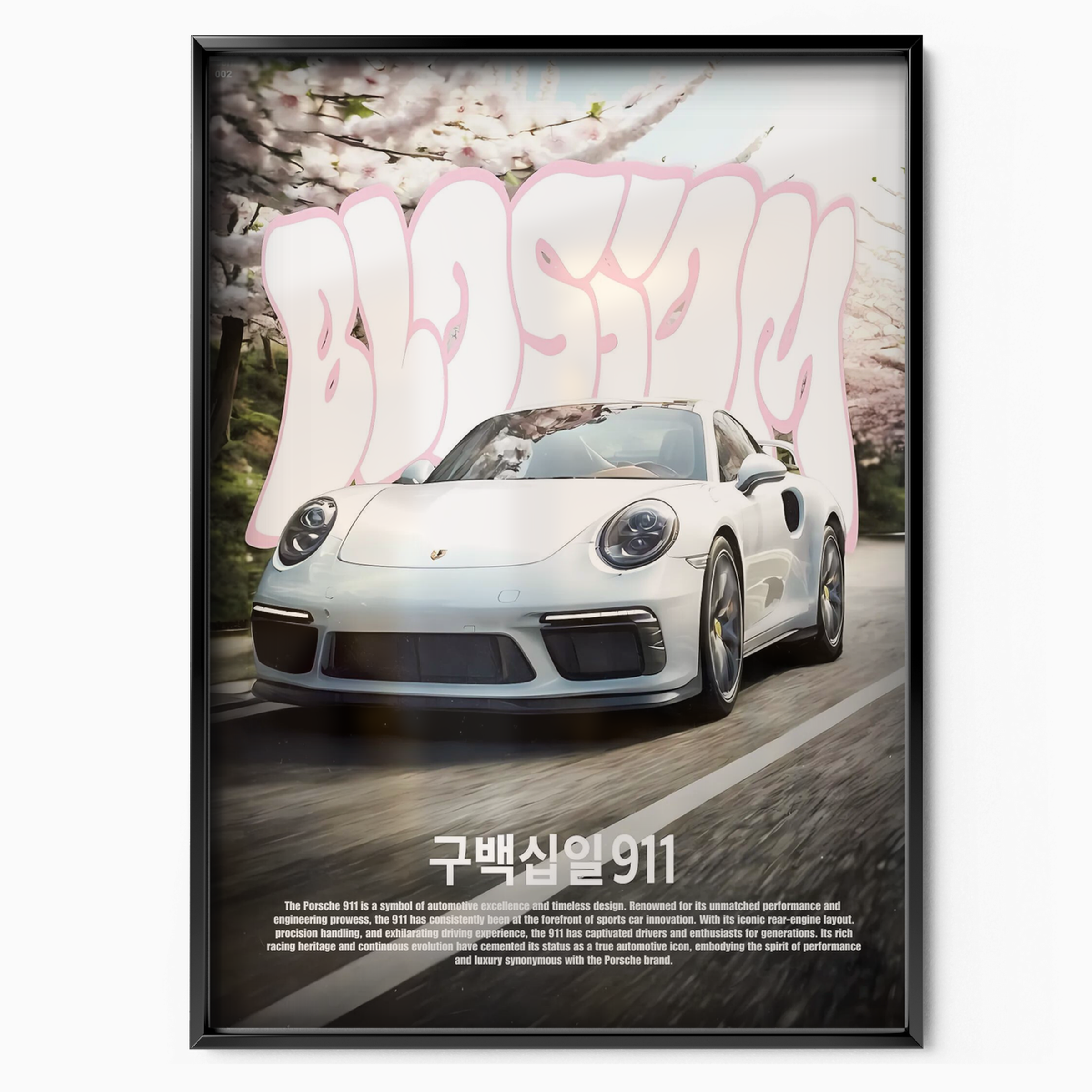 Porsche 911 Japan