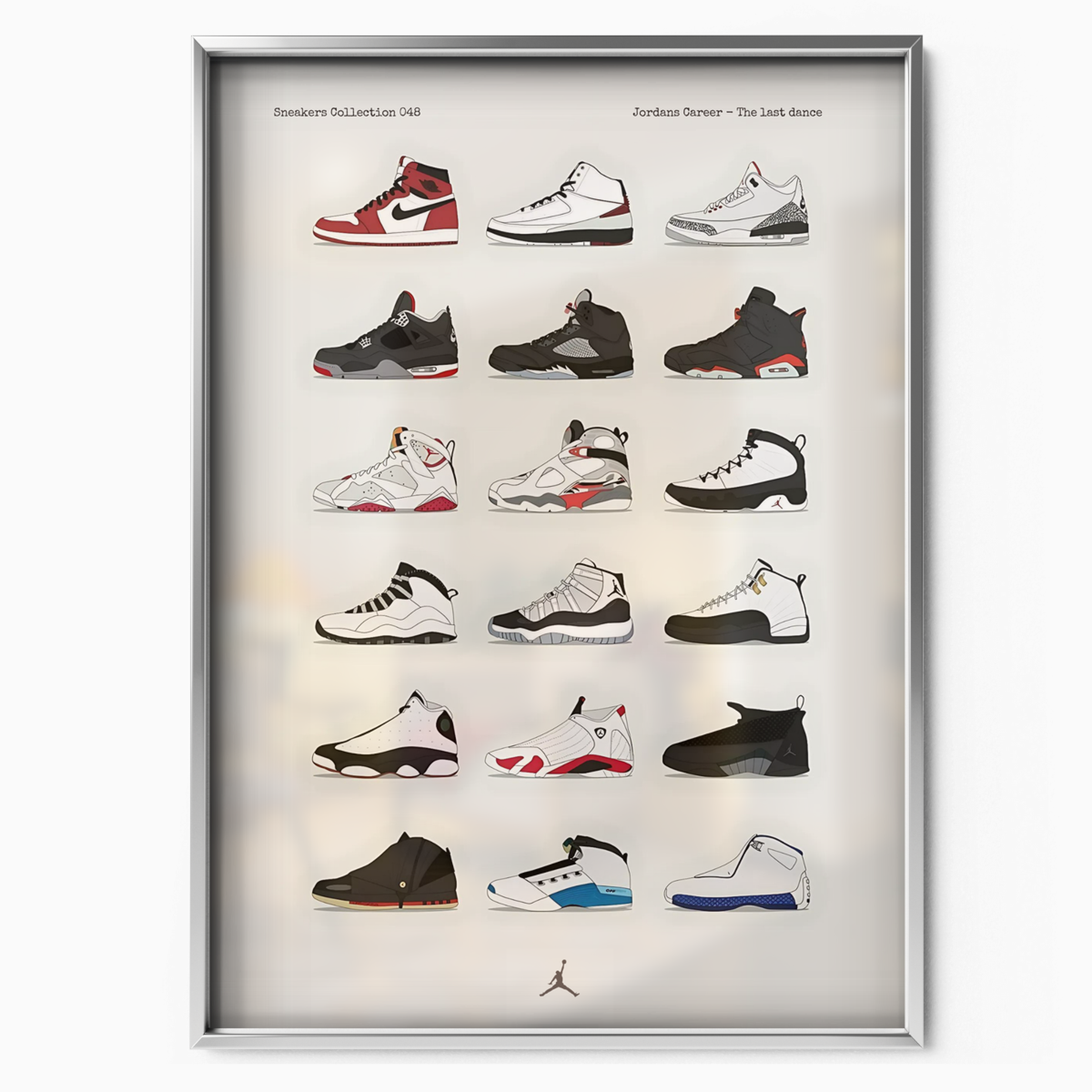 Jordans Career The last dance