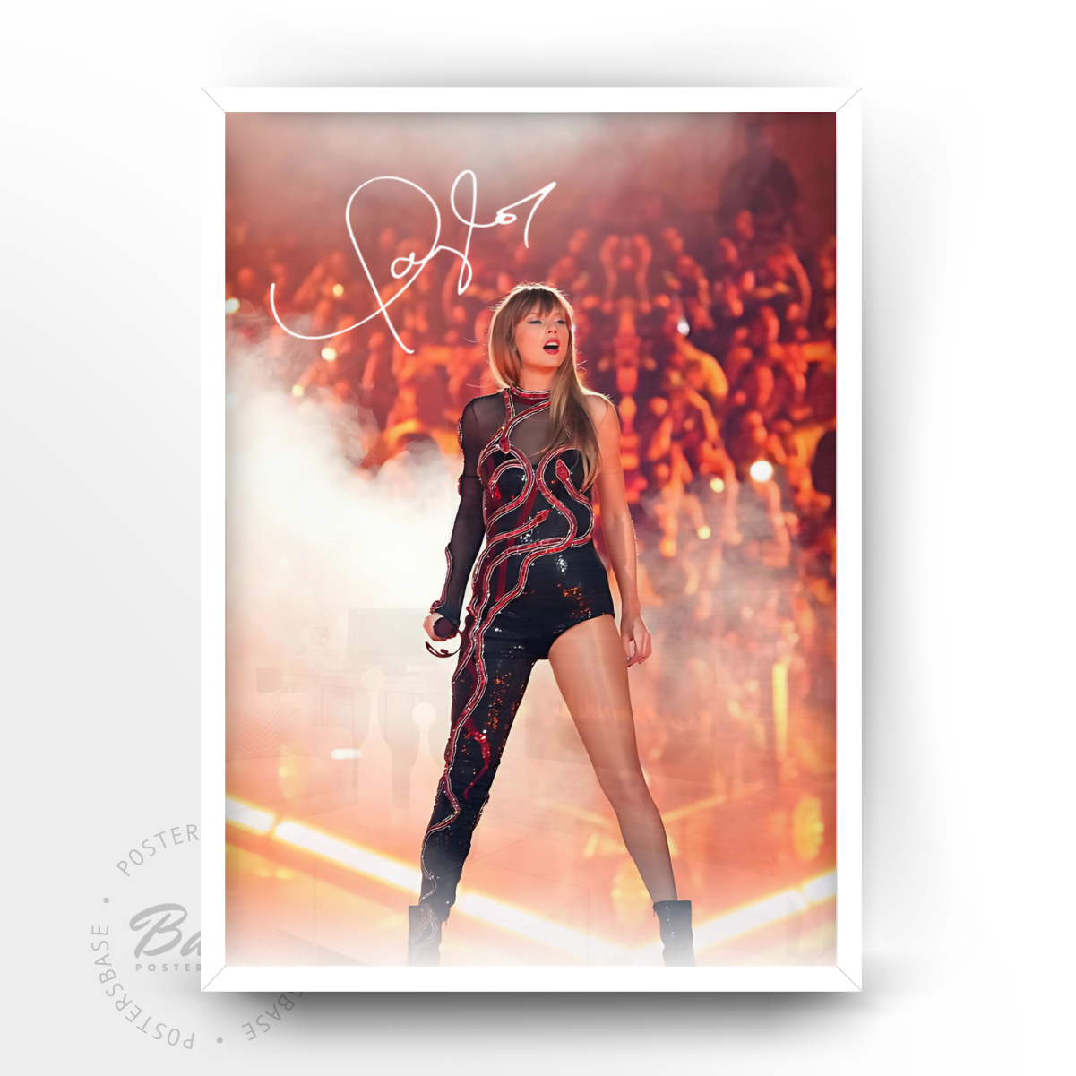 Taylor Swift Concert