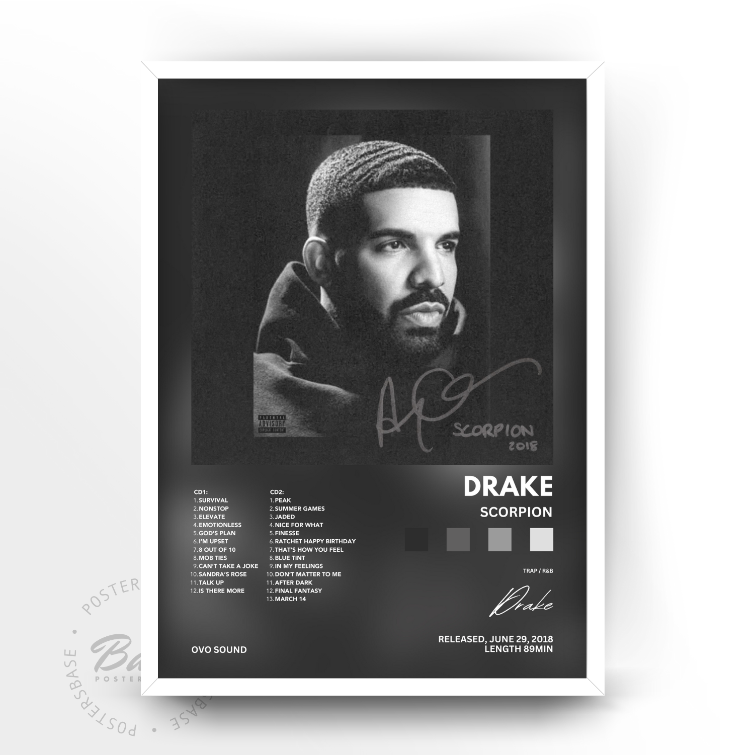 Drake 'Scorpion'