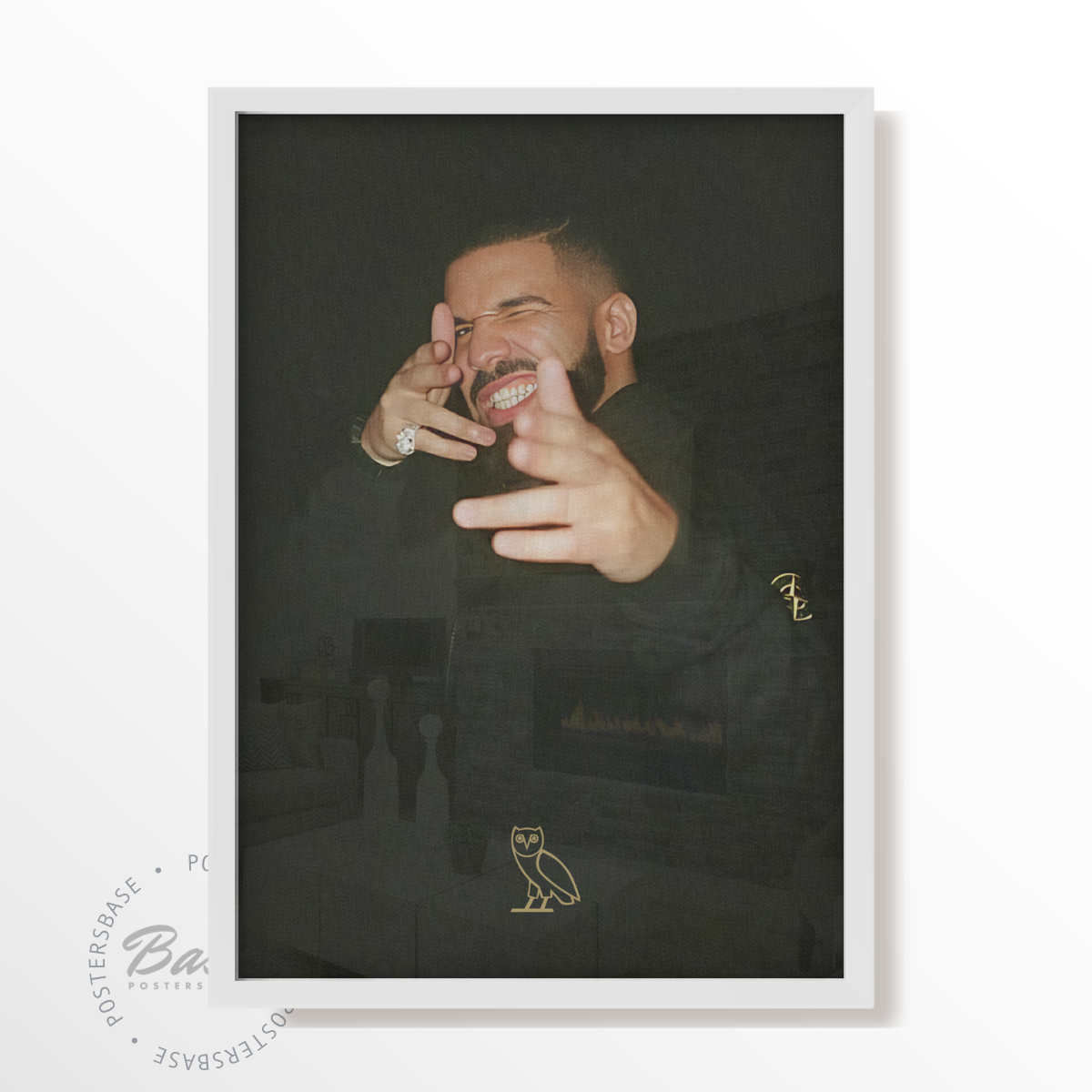 Drake OVO