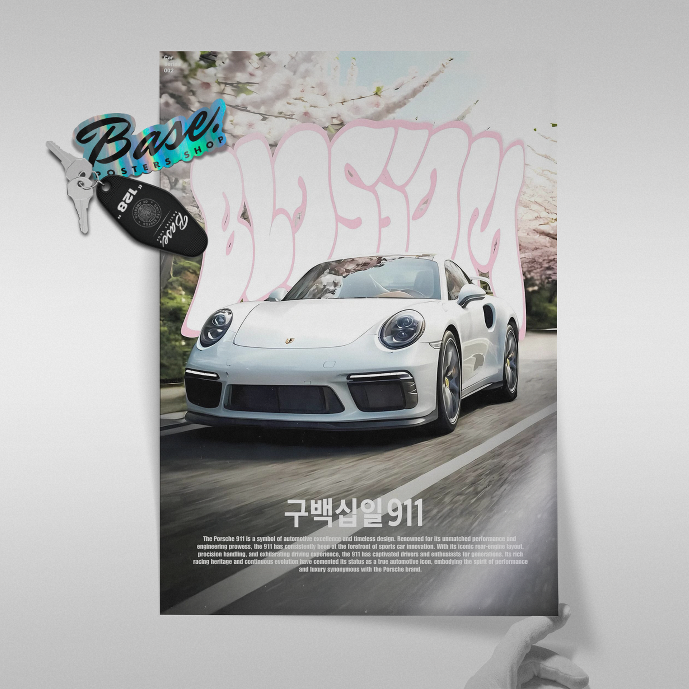 Porsche 911 Japan