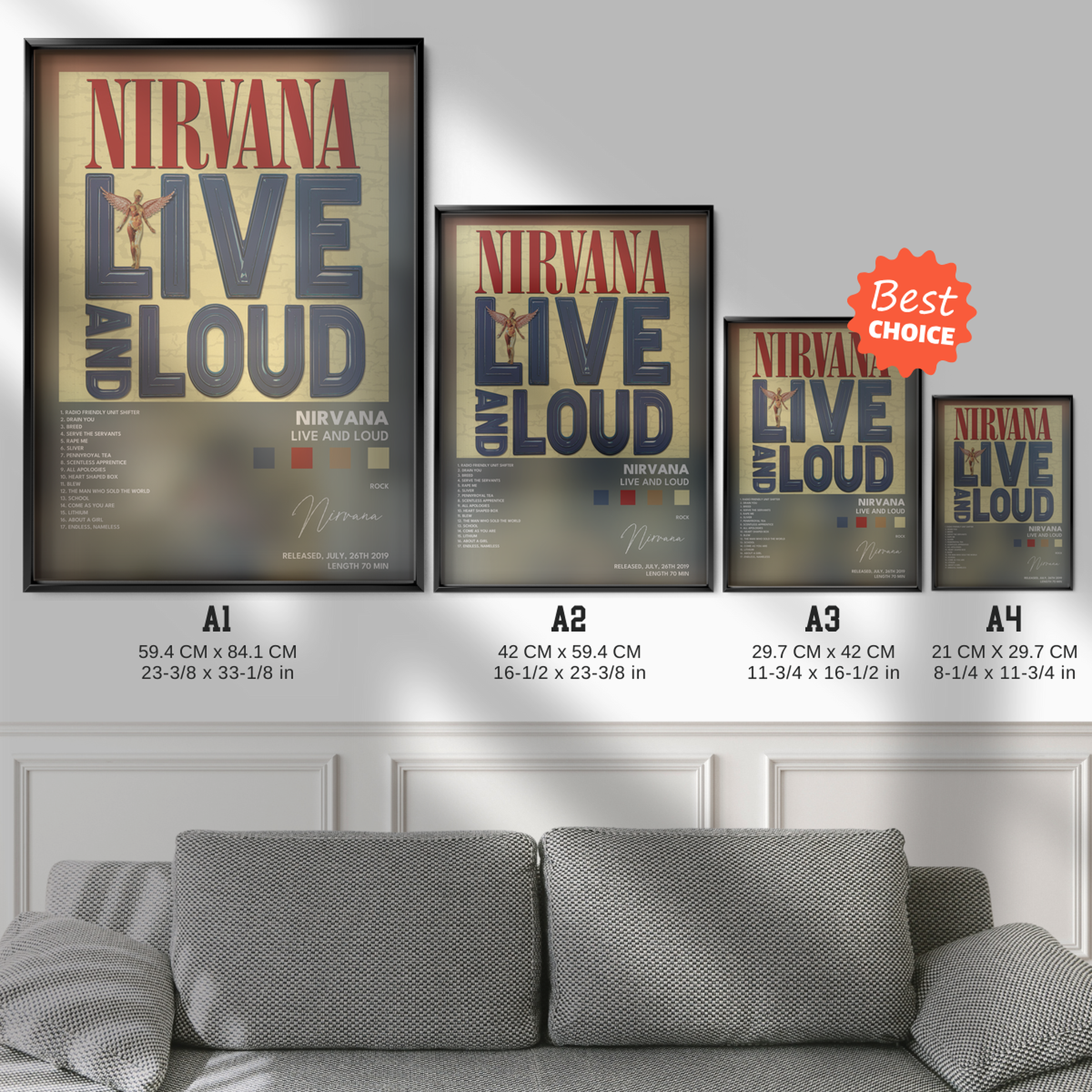 nirvana Live And Loud poster