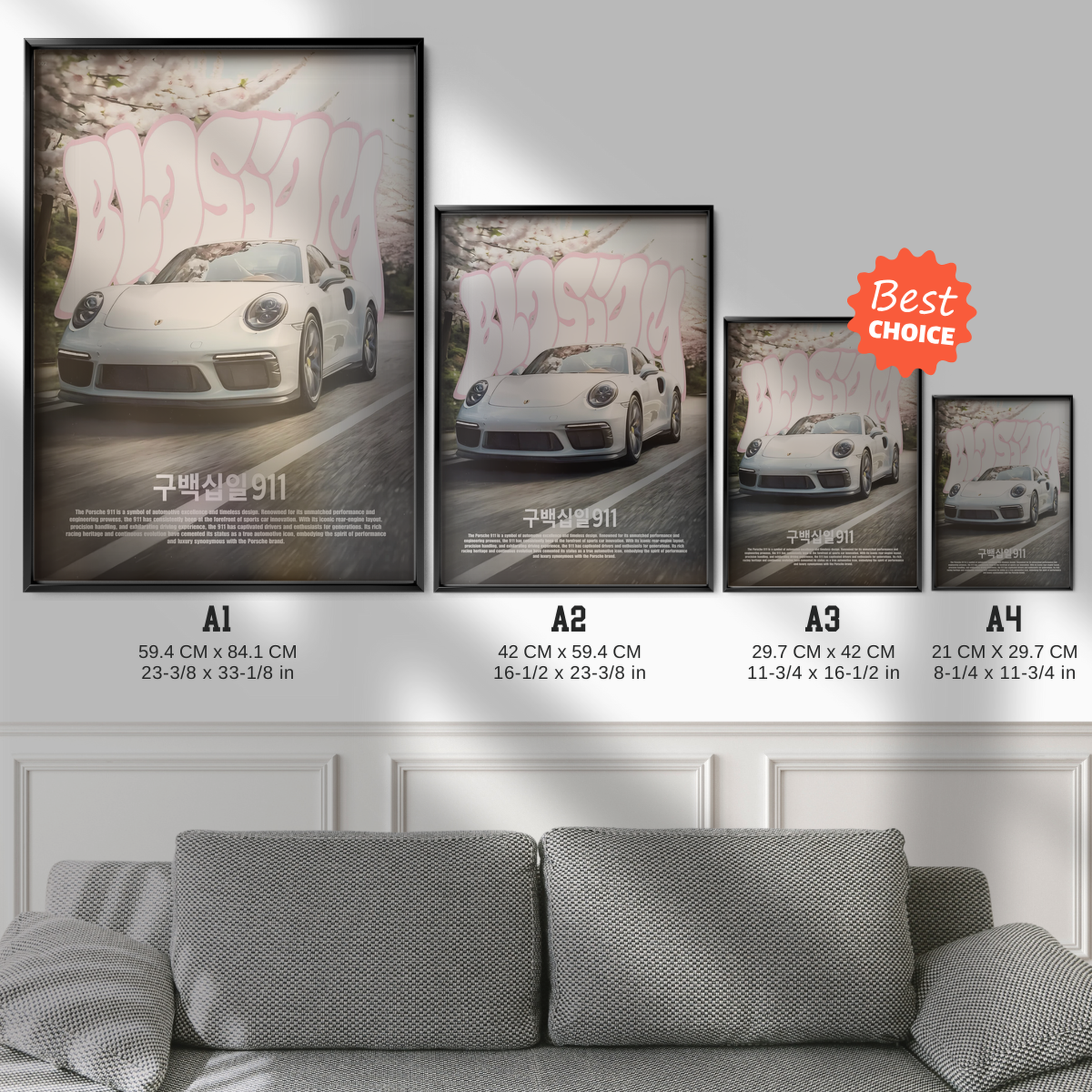 Porsche 911 Japan