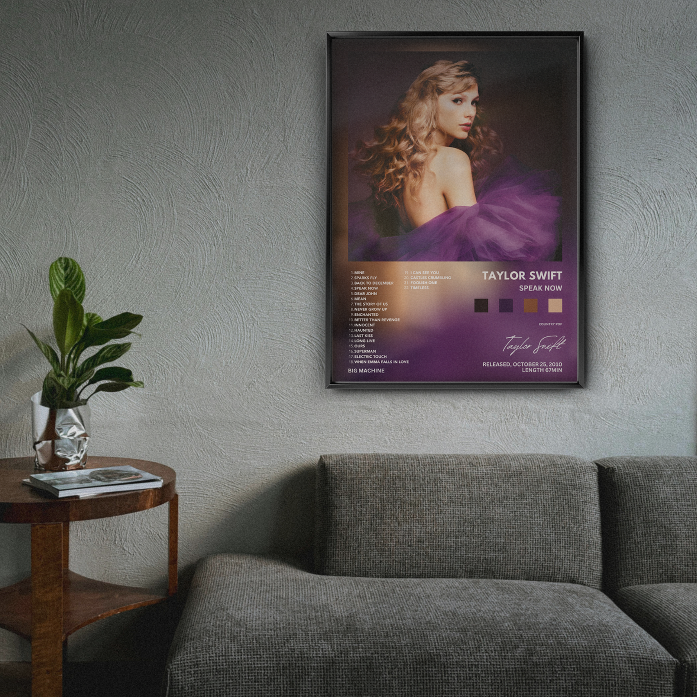 Taylor Swift 'Speak Now'