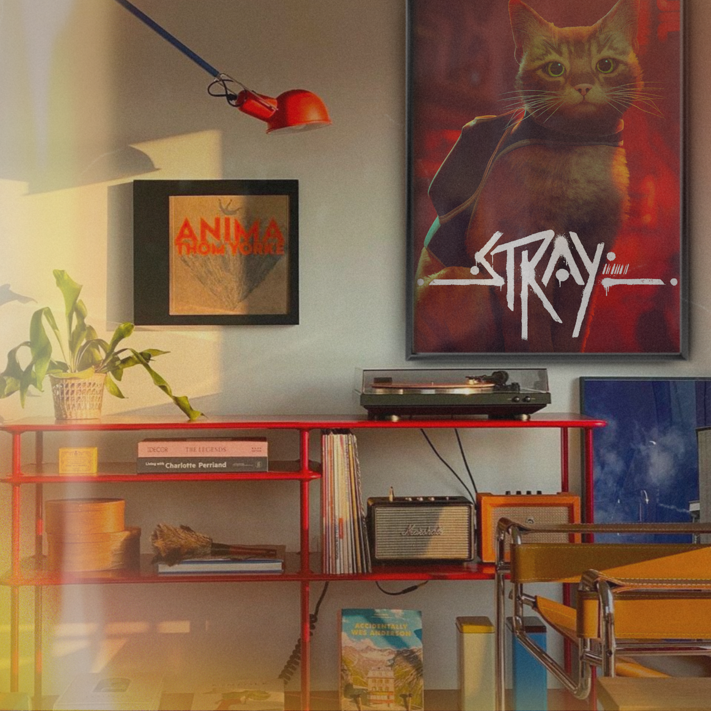 Stray (2022)