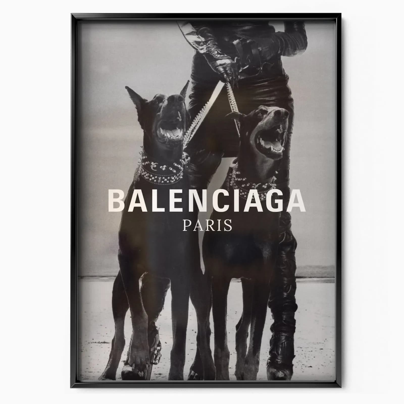 Balenciaga Dogs