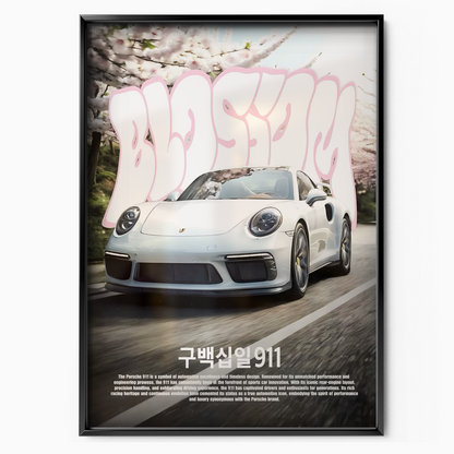 Porsche 911 Japan