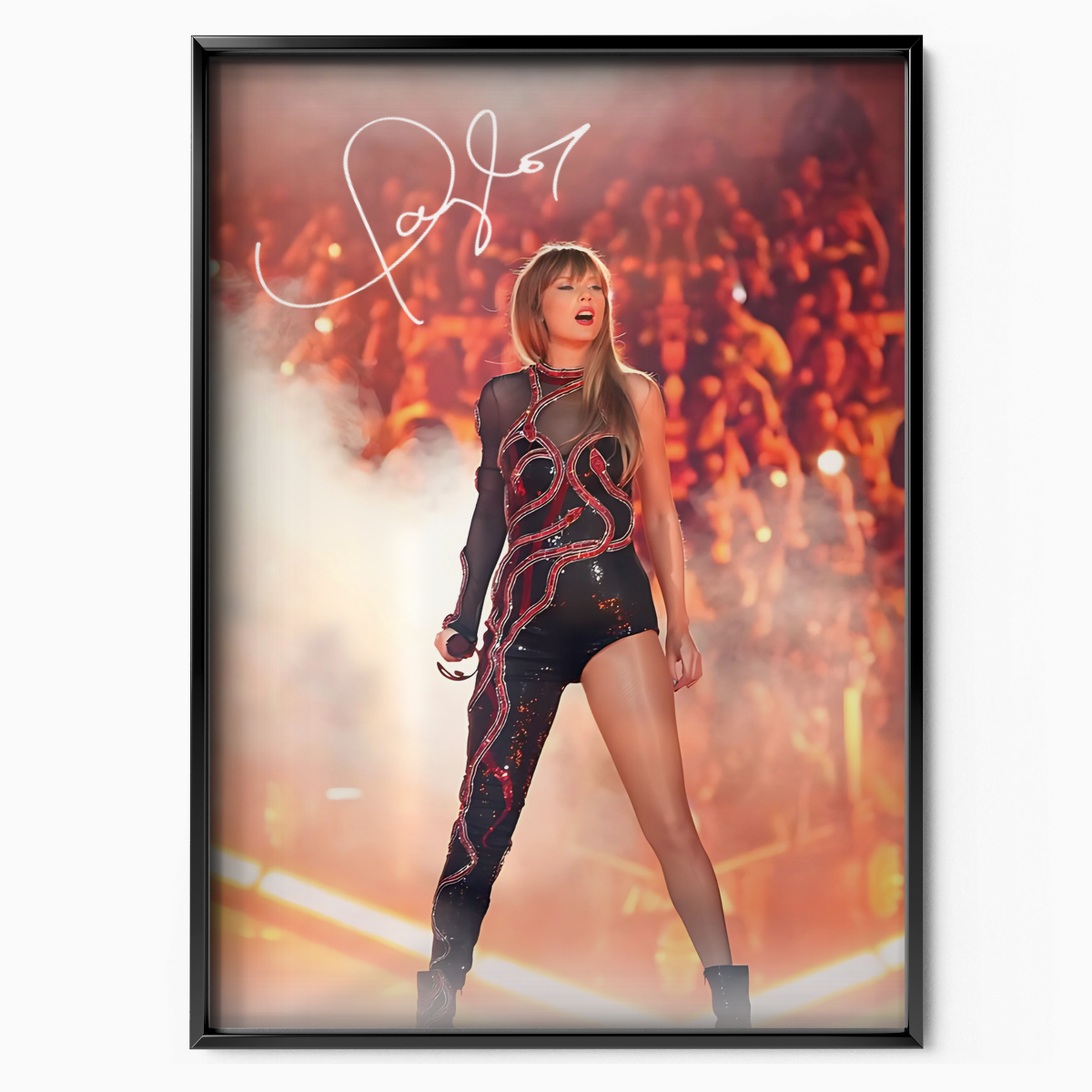 Taylor Swift Concert