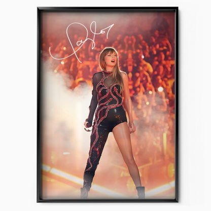Taylor Swift Concert