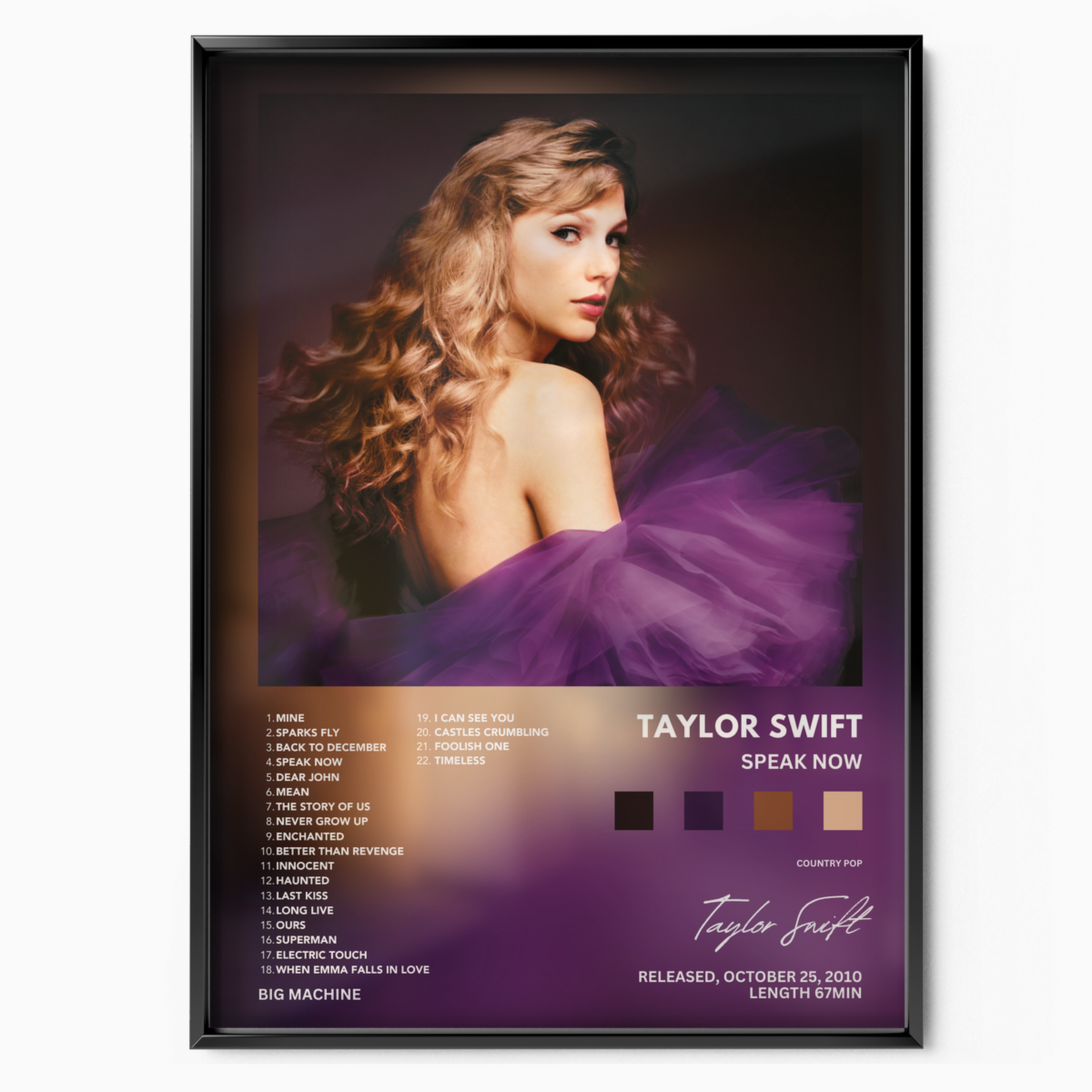 Taylor Swift 'Speak Now'