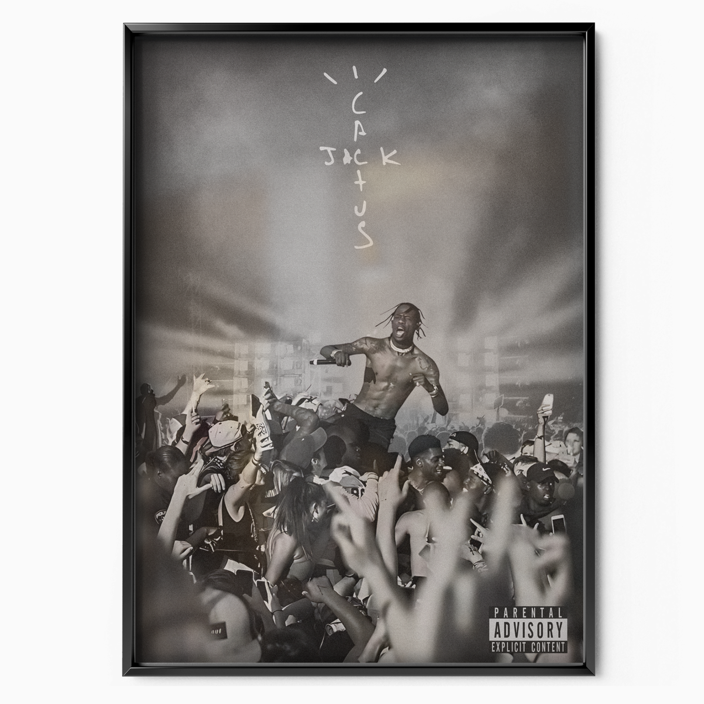 Cactus Jack Concert
