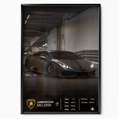Lamborghini Gallardo Collector