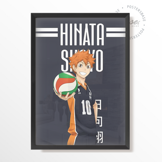 HAIKYUU HINATO SHOYO