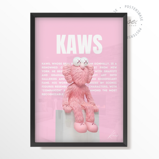 KAWS DEMONSTRATION