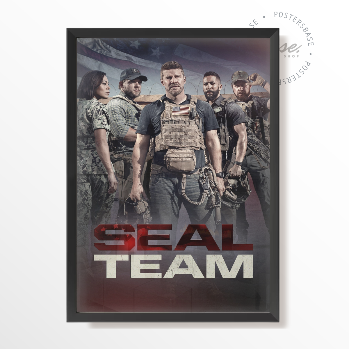 SEAL Team