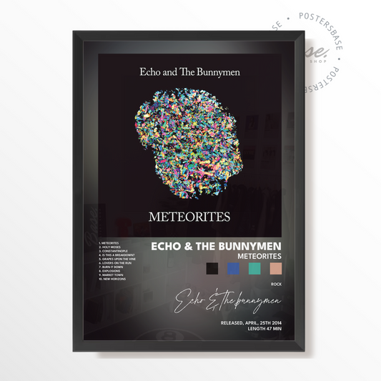 echo  the bunnymen Meteorites poster