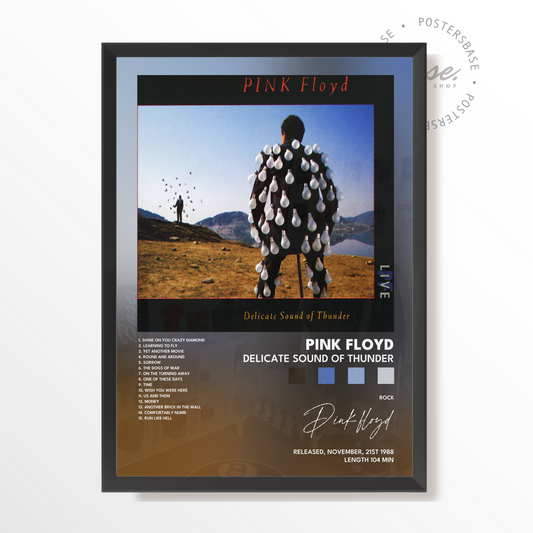 pink floyd Delicate Sound Of Thunder poster