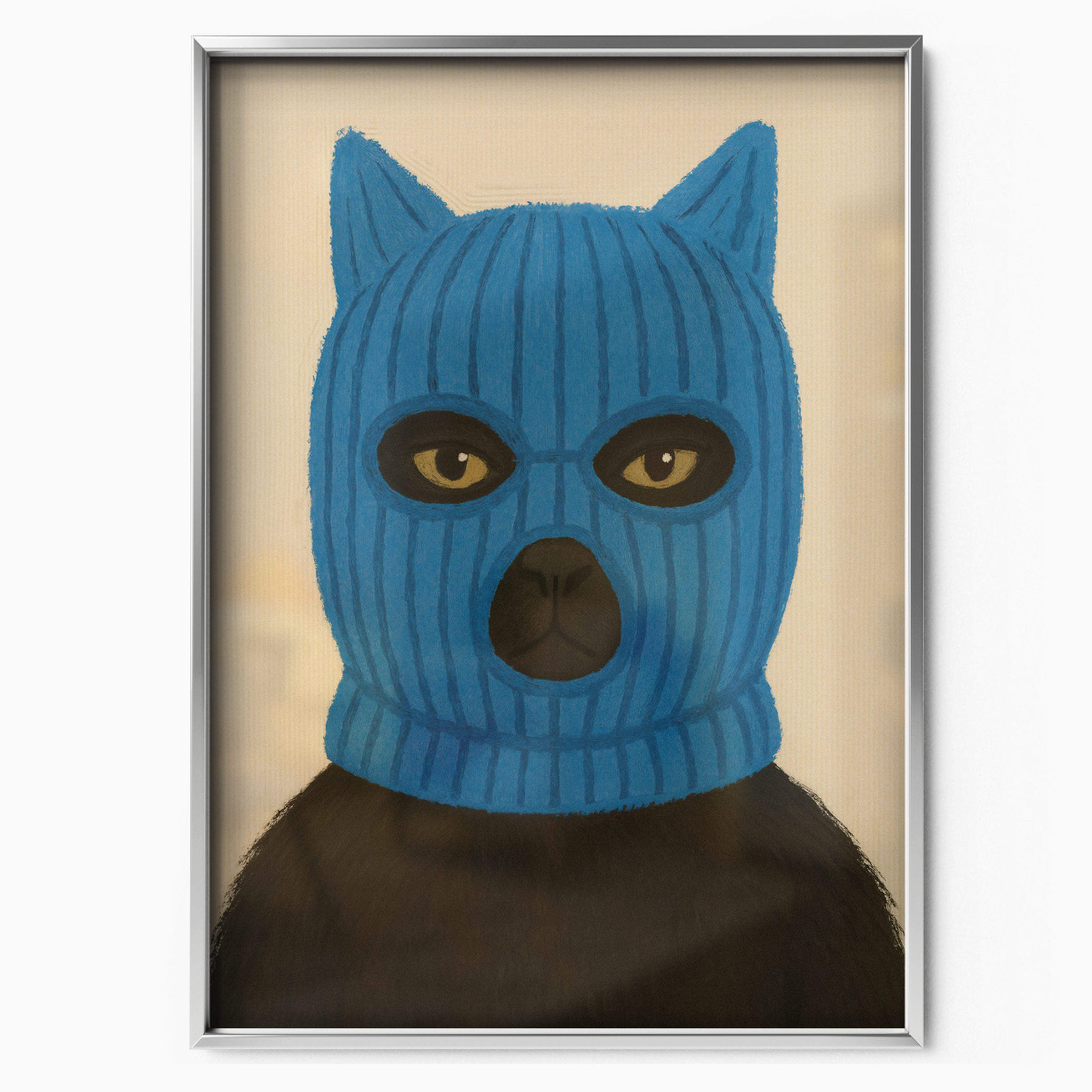 Balaclava Cat