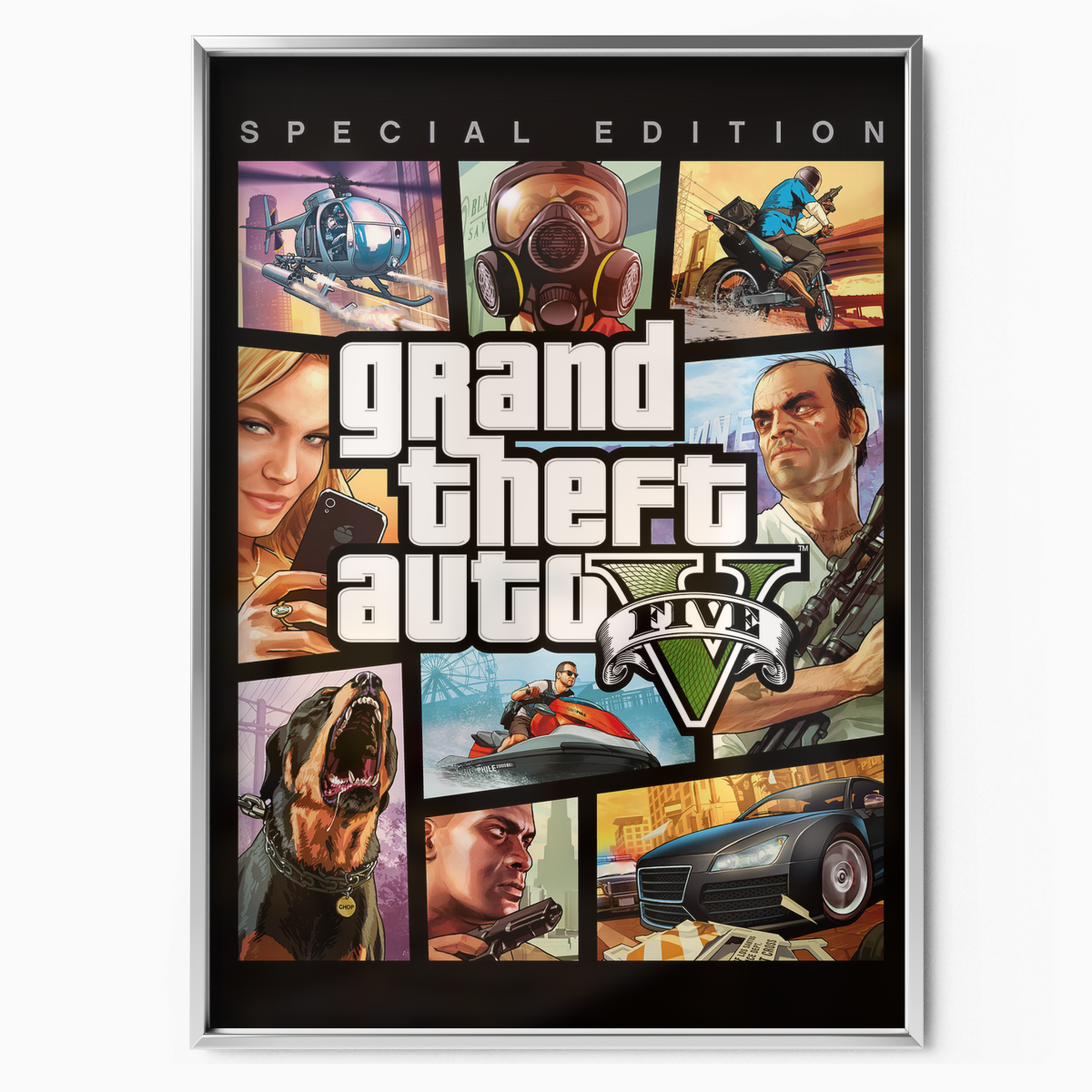 Grand Theft Auto V Special Edition (2013)
