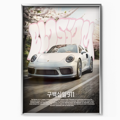Porsche 911 Japan