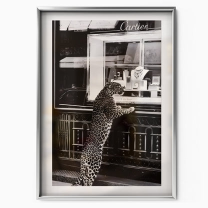 Panther Elegance