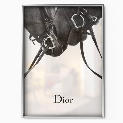 Equestrian Elegance