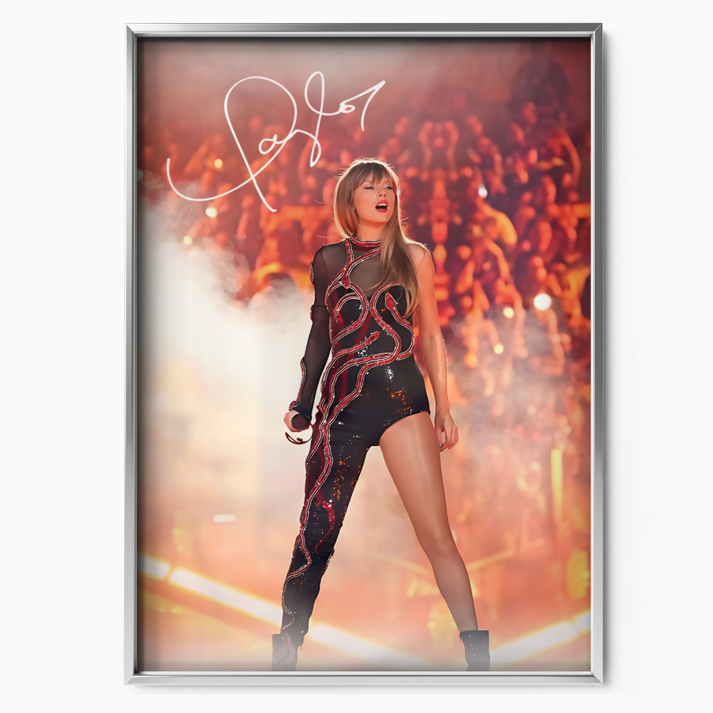 Taylor Swift Concert