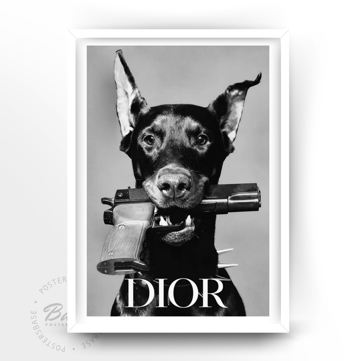 Dior Dog Border