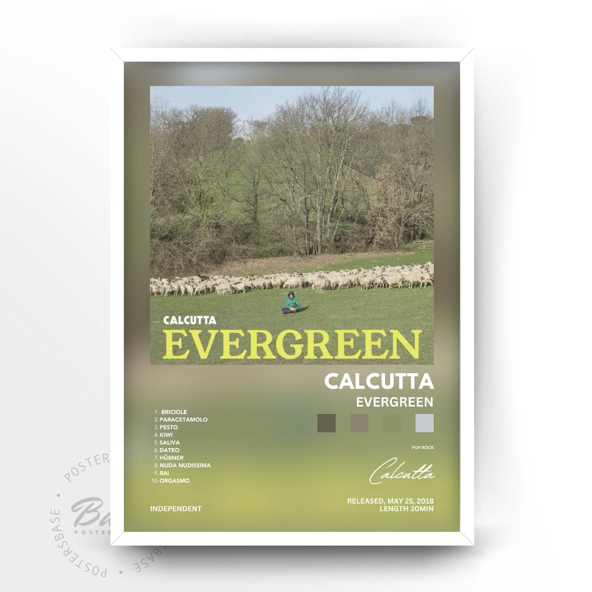 Calcutta 'Evergreen'