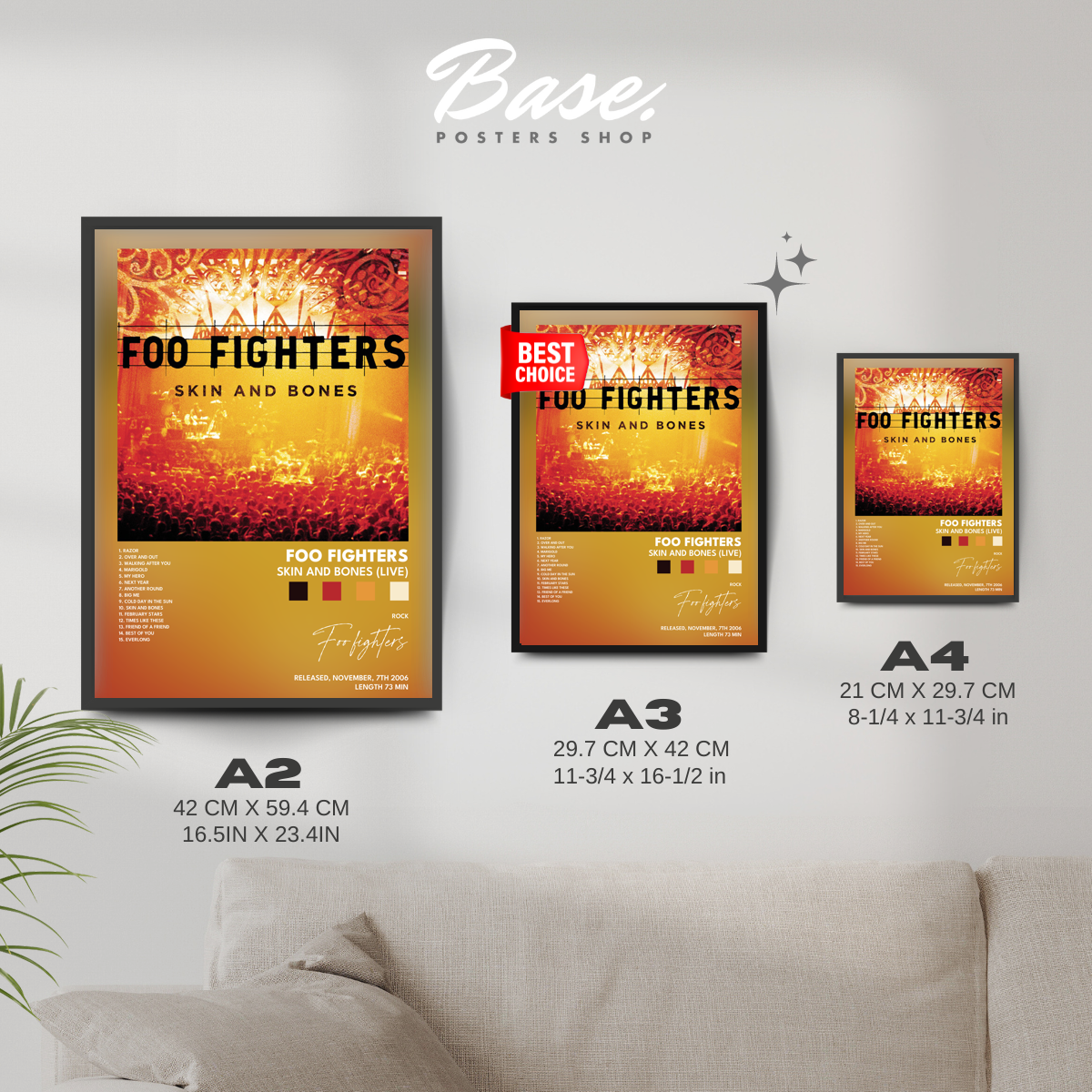 foo fighters Skin And Bones Live poster