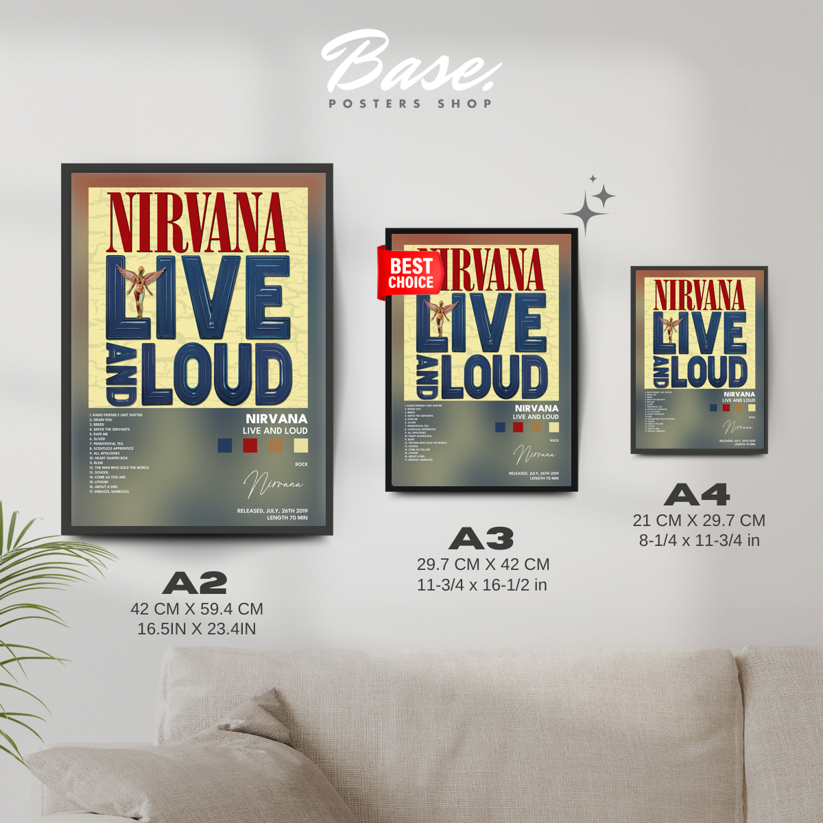 nirvana Live And Loud poster