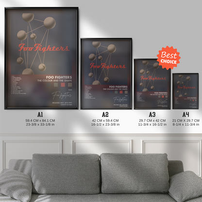 foo fighters The Colour And The Shape poster