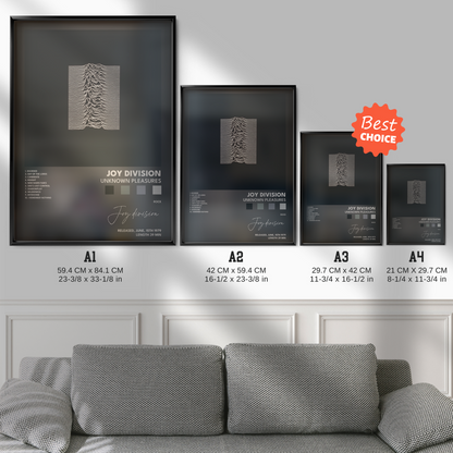 joy division Unknown Pleasures poster