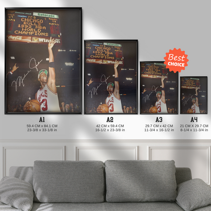 Michael Jordan Chicago Bulls Dunk Moment