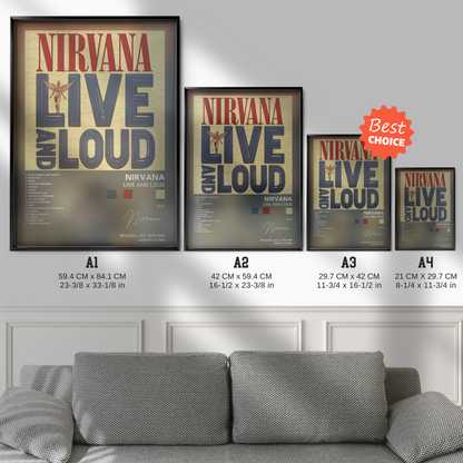 nirvana Live And Loud poster