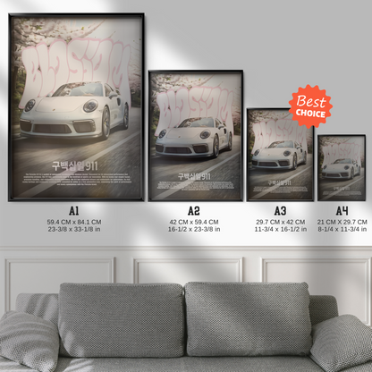 Porsche 911 Japan