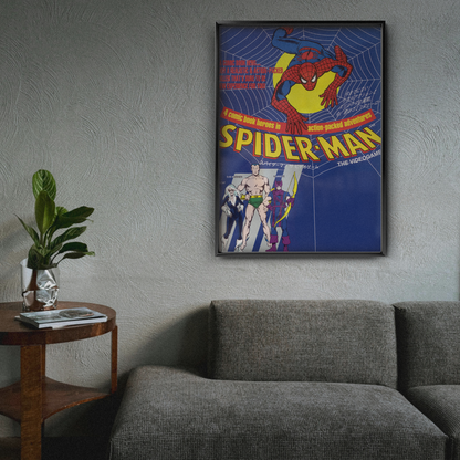 Spider Man The Video Game (1991)