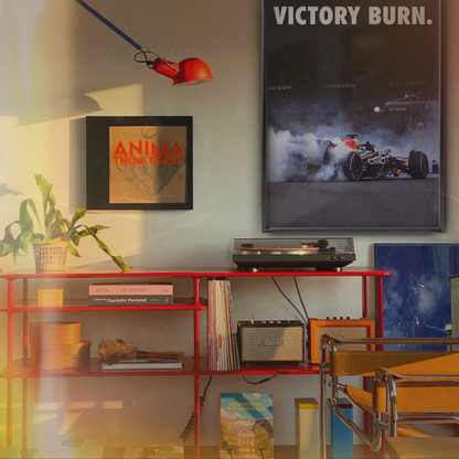 Max Verstappen 'victory Burn'