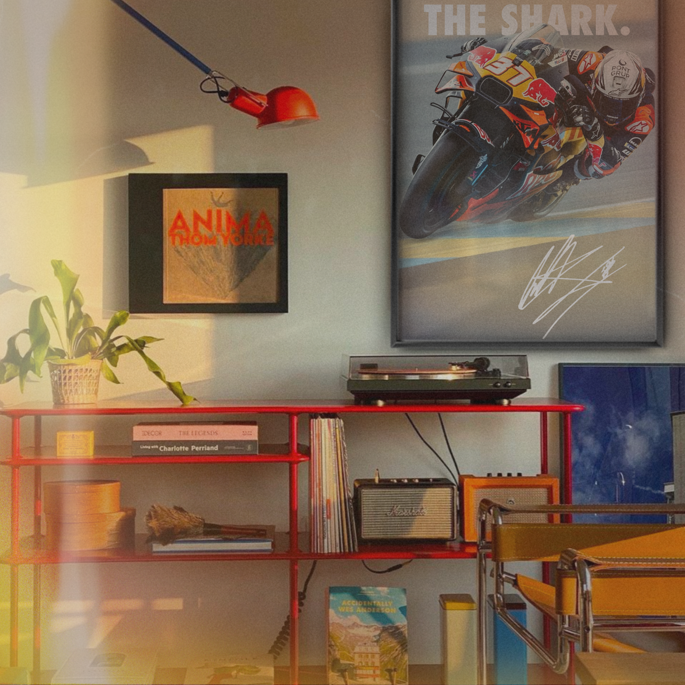 Pedro Acosta 'the Shark' 2025