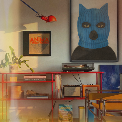 Balaclava Cat