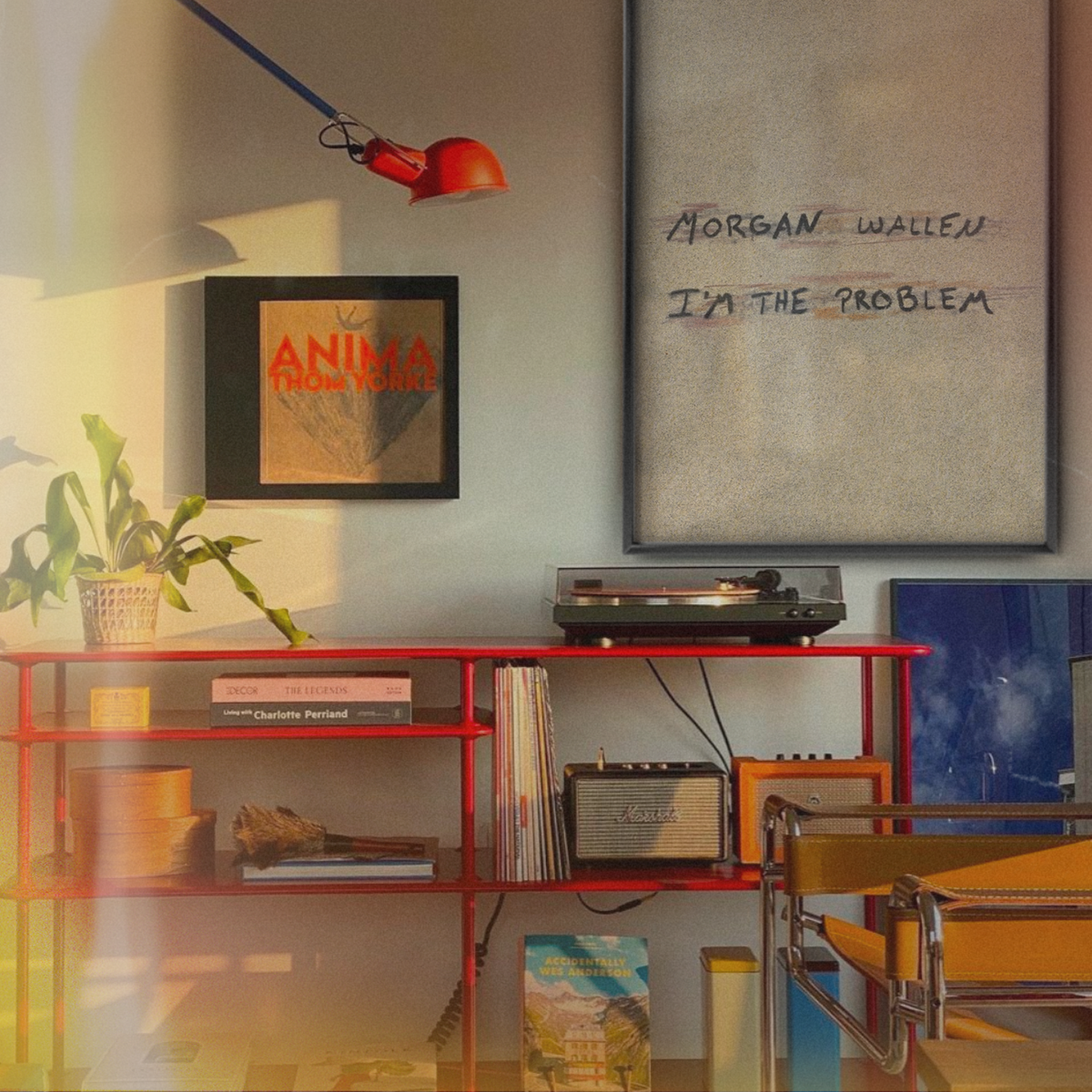 Morgan Wallen I’m The Problem