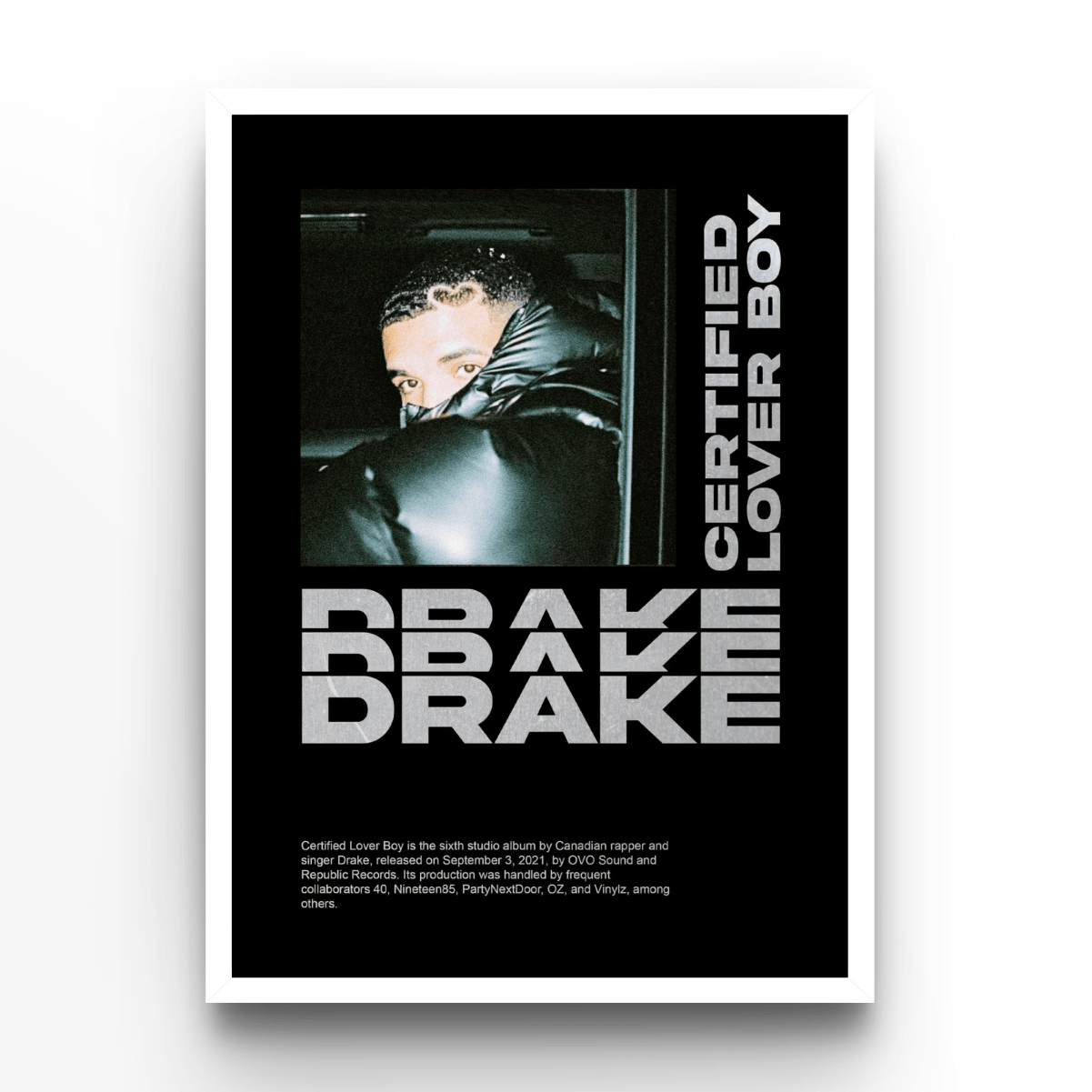 Drake - A4, A3, A2 Posters Base - Poster Print Shop / Art Prints / PostersBase